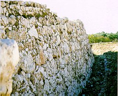 Shechem